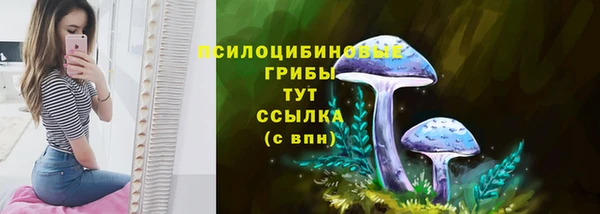 скорость Дмитриев