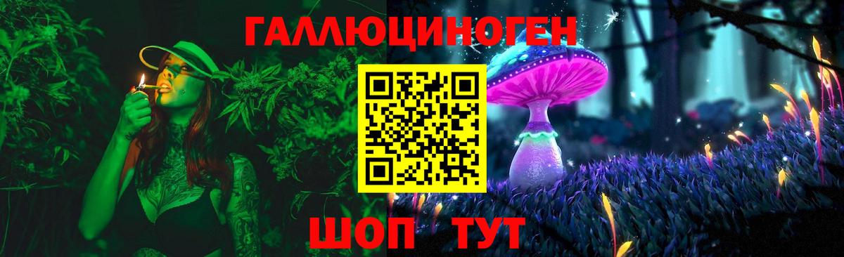 Псилоцибиновые грибы Psilocybe Егорьевск